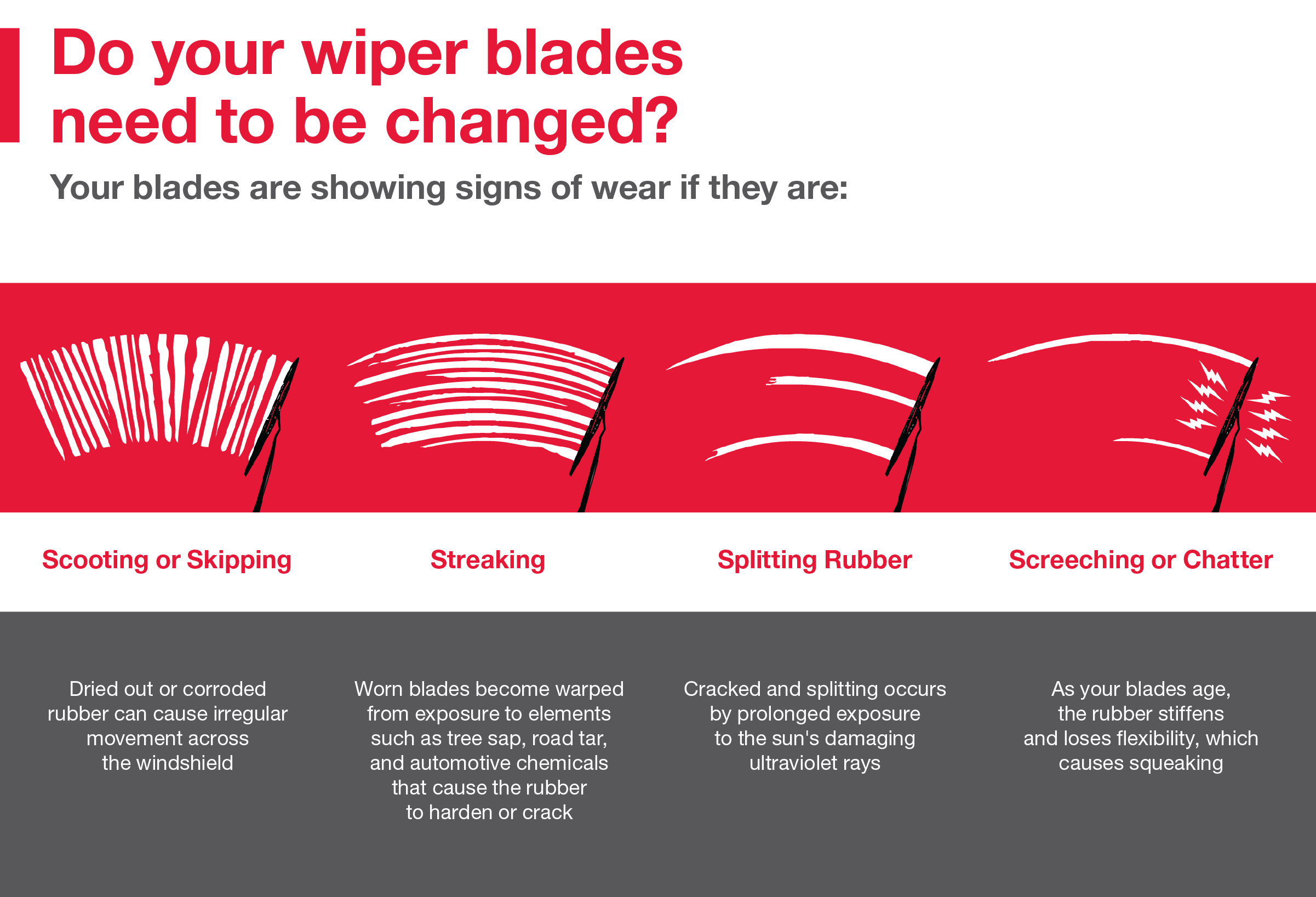 Do your wiper blades need to be changed | Venice Toyota in Venice FL